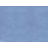 Brunschwig & Fils SUKHOTHAI PEARL BLUE Drapery Fabric