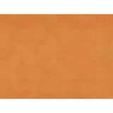 Brunschwig & Fils SUKHOTHAI ARANCIA Drapery Fabric