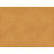 Brunschwig & Fils SUKHOTHAI APRICOT Drapery Fabric