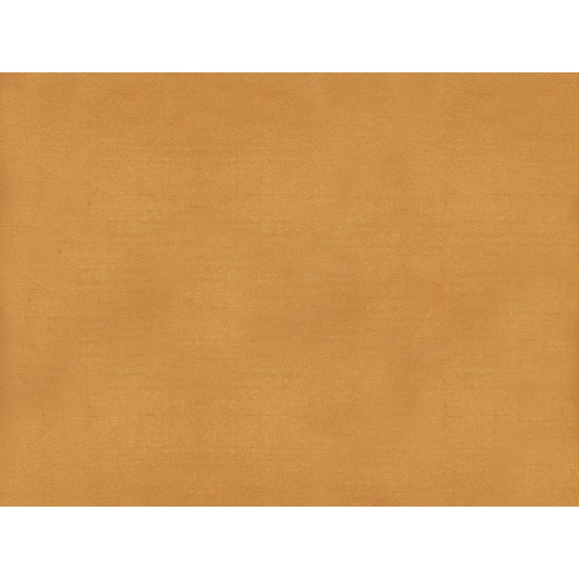 Brunschwig & Fils SUKHOTHAI APRICOT Drapery Fabric