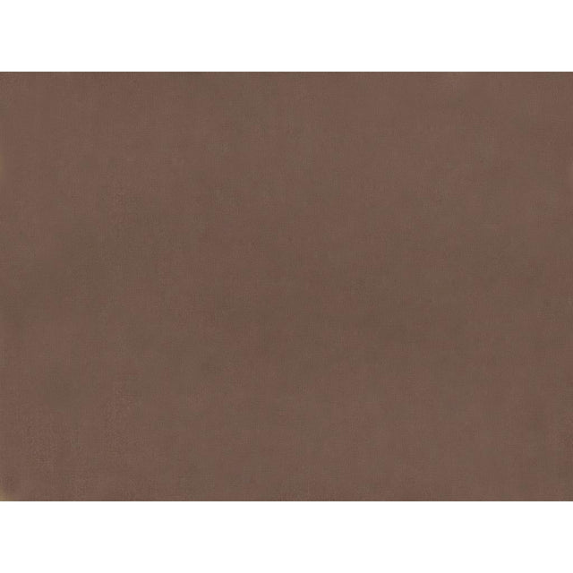 Brunschwig & Fils SUKHOTHAI BROWNIE Drapery Fabric