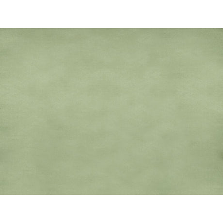 Brunschwig & Fils SUKHOTHAI CELADON GREEN Drapery Fabric