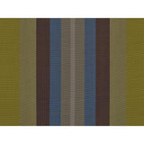 Brunschwig & Fils RAINBOW CHARTREUSE Drapery Fabric