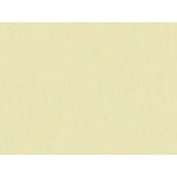 Brunschwig & Fils SHOTS PONGEE Drapery Fabric