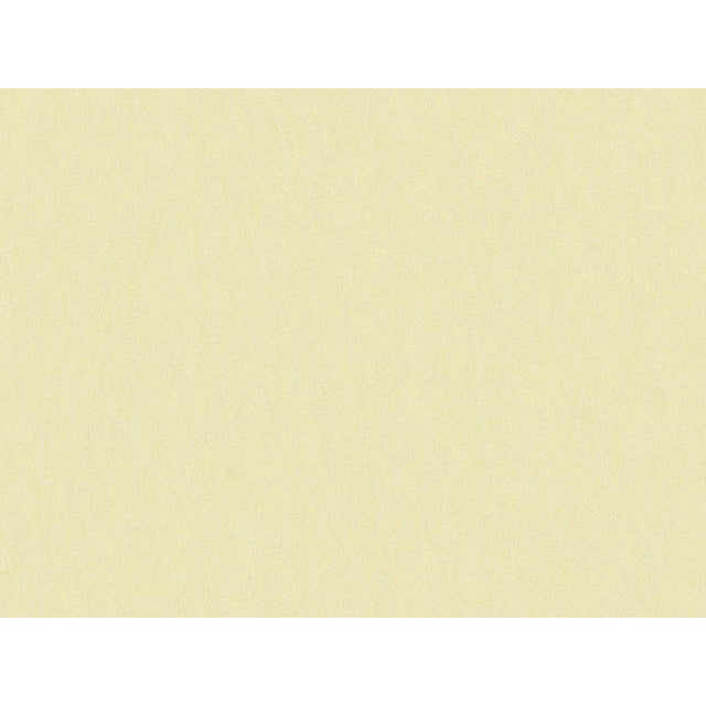 Brunschwig & Fils SHOTS PONGEE Drapery Fabric