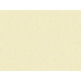 Brunschwig & Fils SHOTS NACRE Drapery Fabric