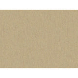 Brunschwig & Fils SHOTS PUMICE Drapery Fabric