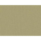 Brunschwig & Fils SHOTS GREIGE DORE Drapery Fabric