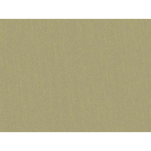 Brunschwig & Fils SHOTS GREIGE DORE Drapery Fabric