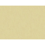 Brunschwig & Fils SHOTS GAZELLE Drapery Fabric