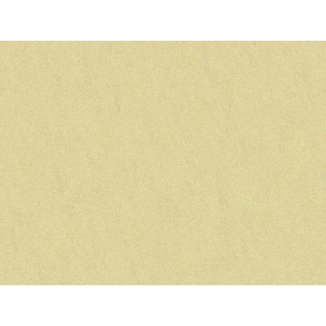 Brunschwig & Fils SHOTS GAZELLE Drapery Fabric