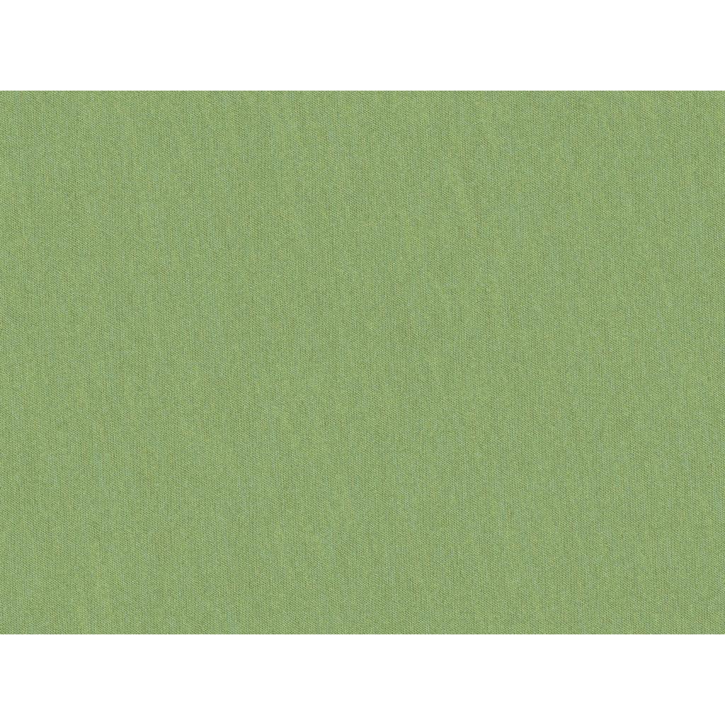 Brunschwig & Fils SHOTS TARRAGON Drapery Fabric