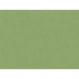 Brunschwig & Fils SHOTS TARRAGON Drapery Fabric