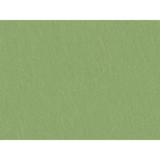 Brunschwig & Fils SHOTS TARRAGON Drapery Fabric