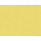 Brunschwig & Fils SHOTS ORO DA FIRENZE Drapery Fabric