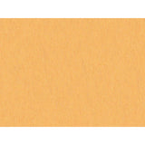 Brunschwig & Fils SHOTS CURRY Drapery Fabric