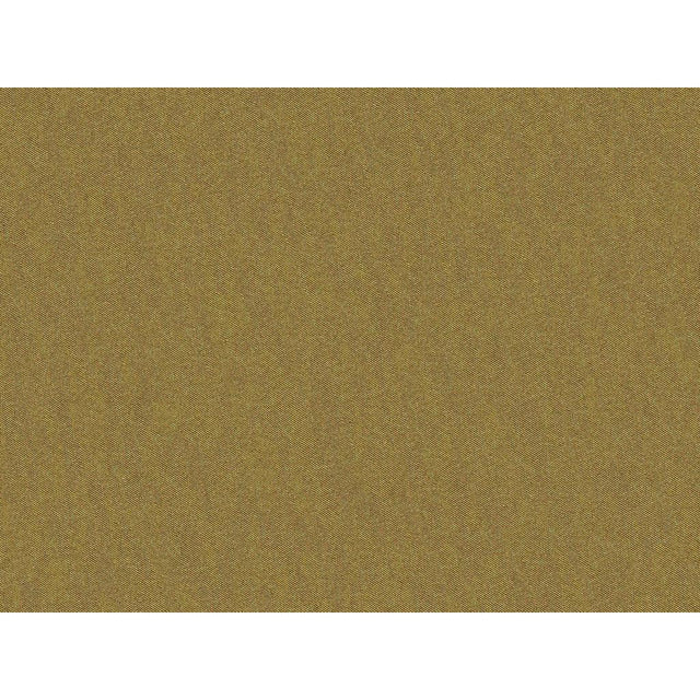 Brunschwig & Fils SHOTS CUIR Drapery Fabric