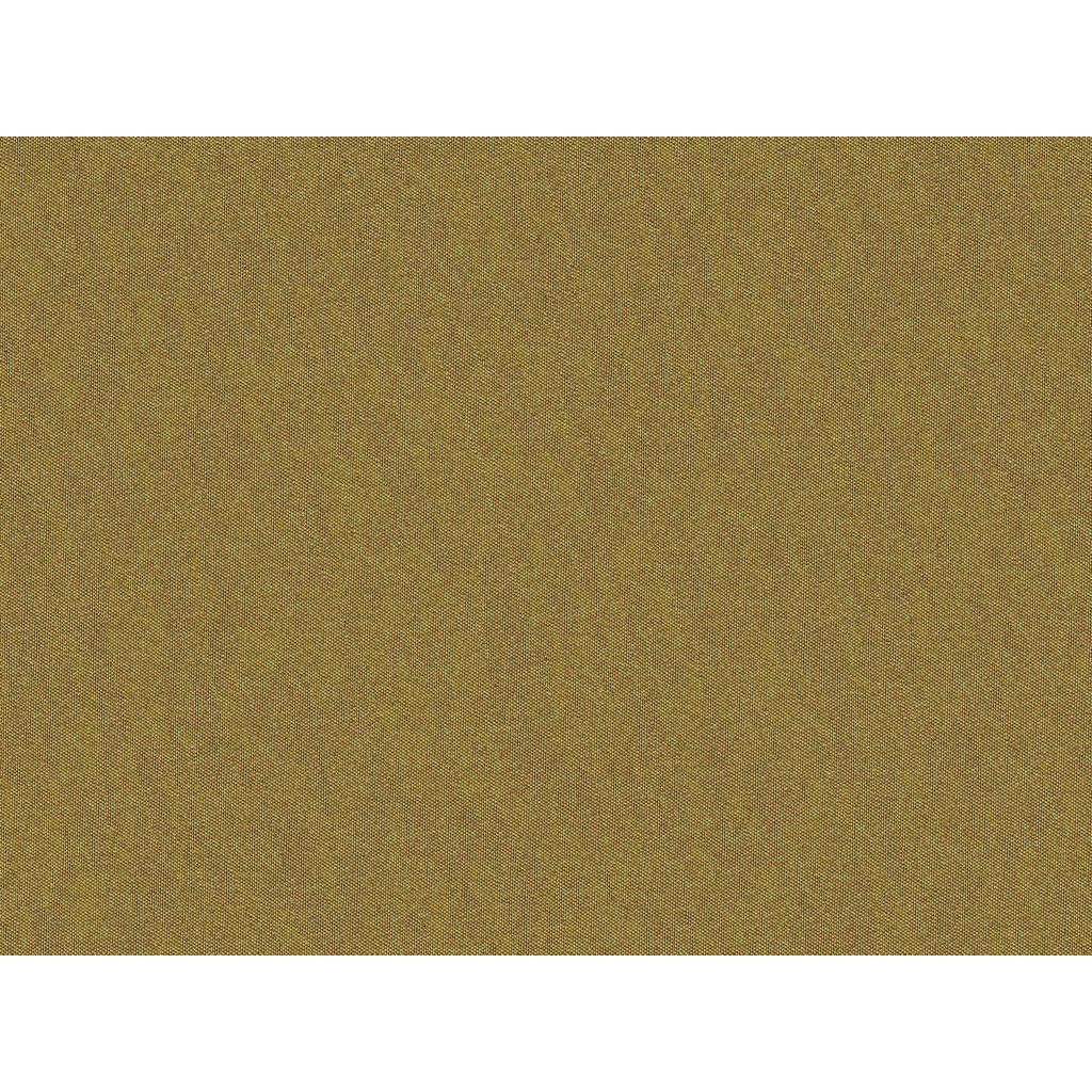 Brunschwig & Fils SHOTS CUIR Drapery Fabric