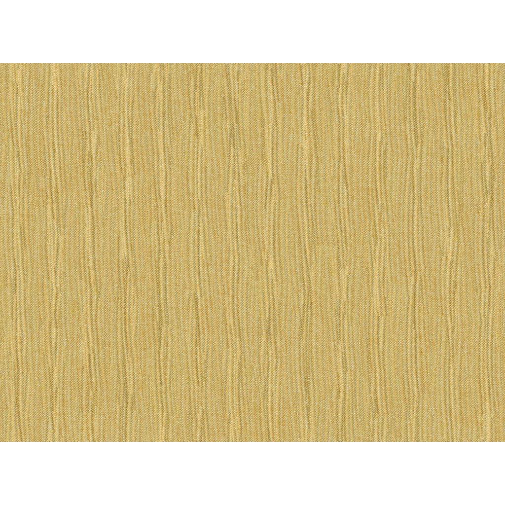 Brunschwig & Fils SHOTS VICUNA Drapery Fabric