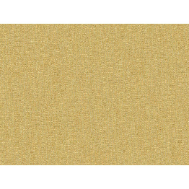 Brunschwig & Fils SHOTS VICUNA Drapery Fabric