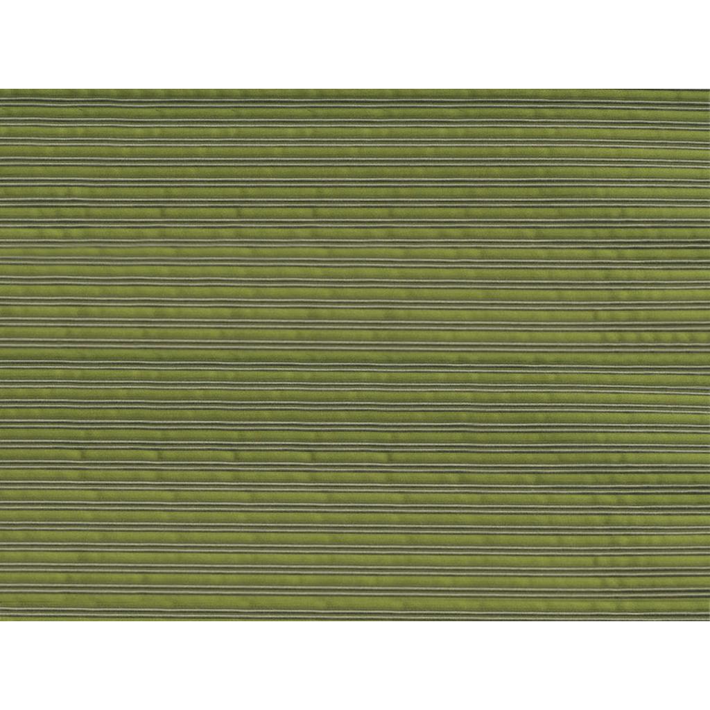 Brunschwig & Fils CAMBRIDGE ASPARAGUS Drapery Fabric