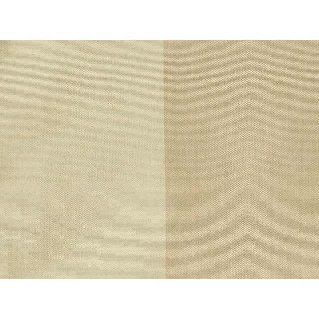 Brunschwig & Fils PETERSBURG STP BUTTERSCT Drapery Fabric