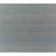 Brunschwig & Fils SILK TWIST DUSTY BLUE Fabric