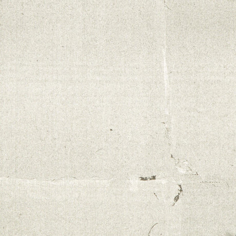 Brunschwig & Fils HOTAKA GRAPHITE Wallpaper