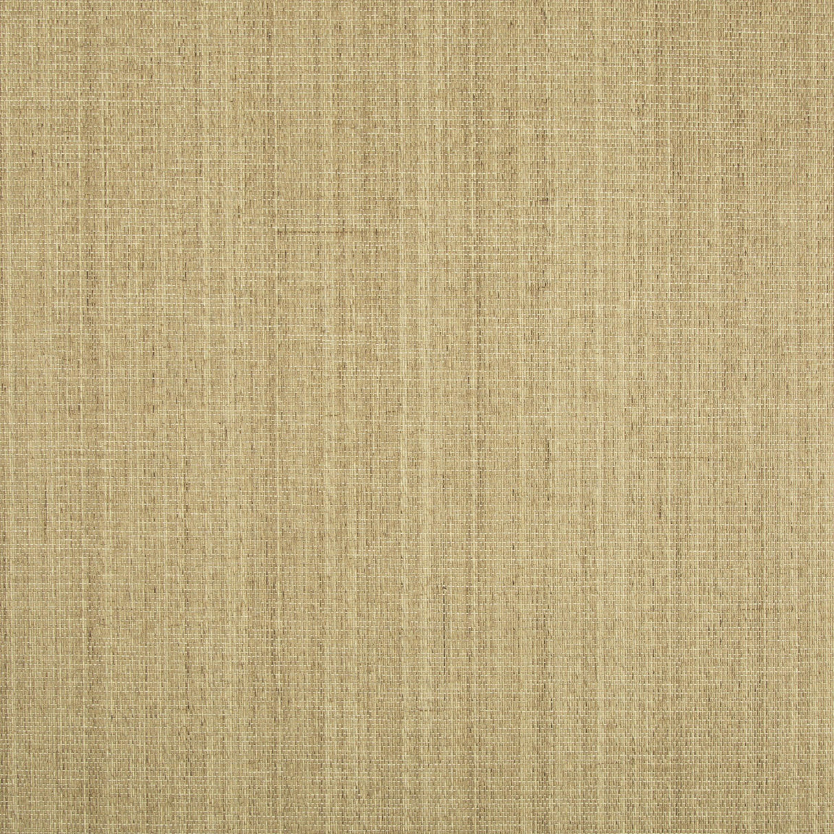 Brunschwig & Fils OCHI WHEAT Wallpaper