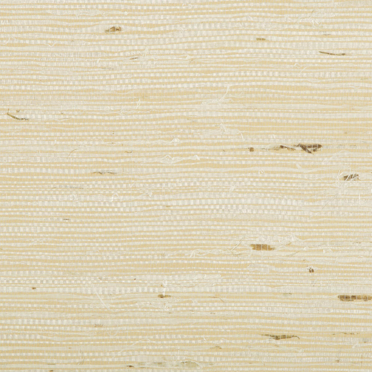 Brunschwig & Fils KOCHI NATURAL Wallpaper