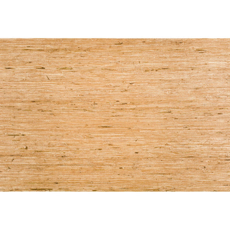 Brunschwig & Fils KOCHI RAFFIA Wallpaper