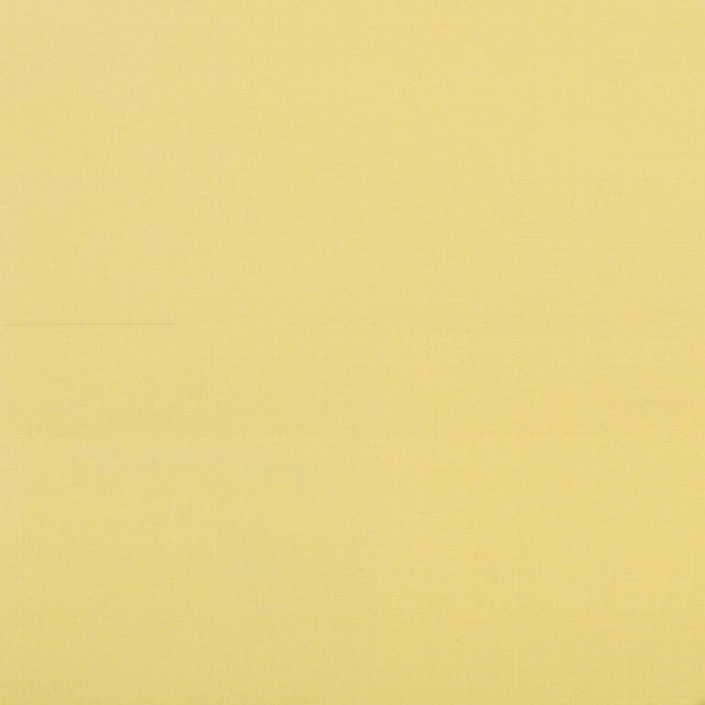 Brunschwig & Fils SEIJUN MAIZE Wallpaper