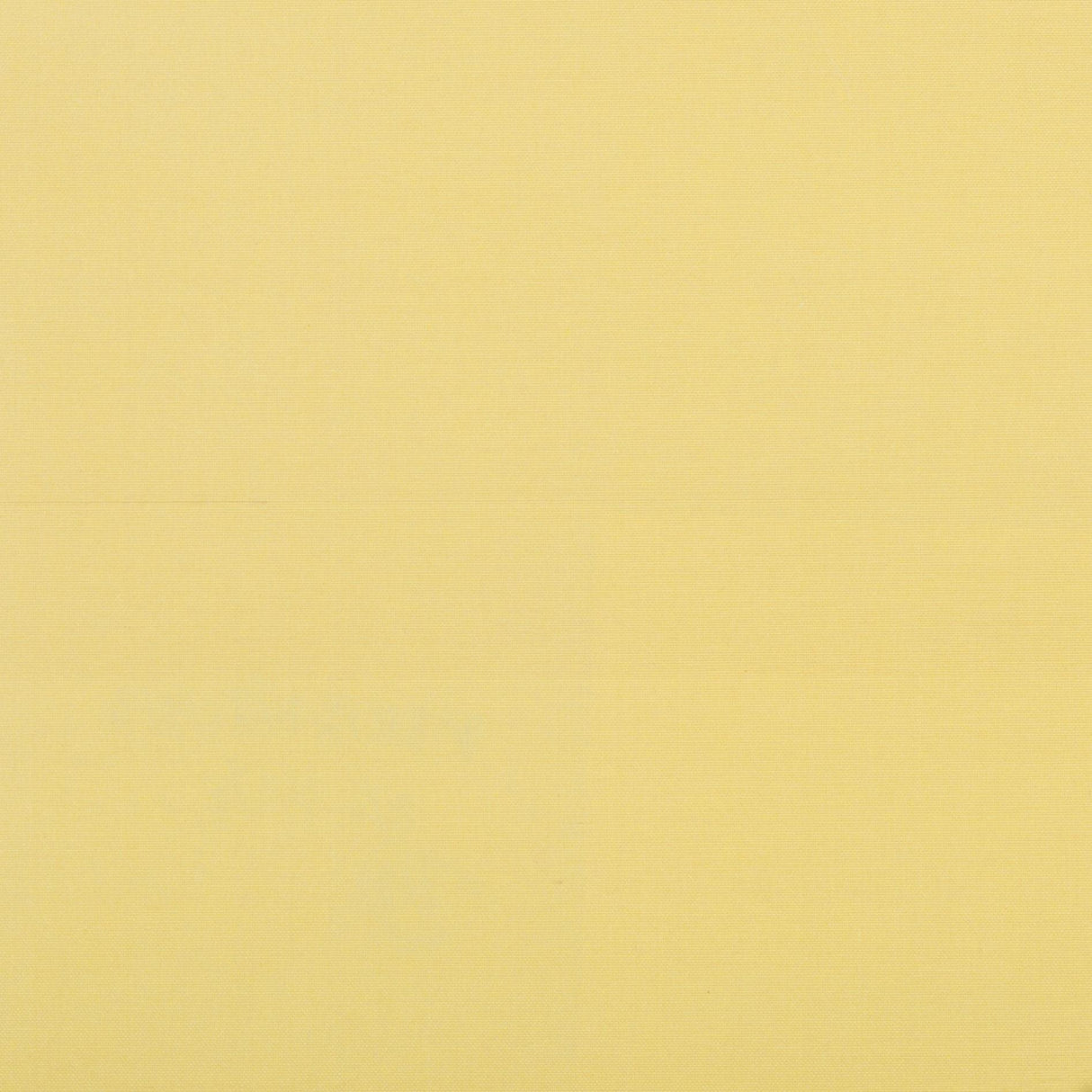 Brunschwig & Fils SEIJUN MAIZE Wallpaper