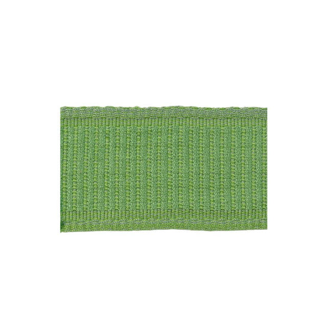 Brunschwig & Fils COEUR BAND SPRING Trim