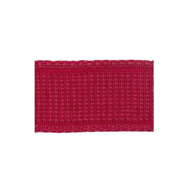 Brunschwig & Fils COEUR BAND RASPBERRY Trim