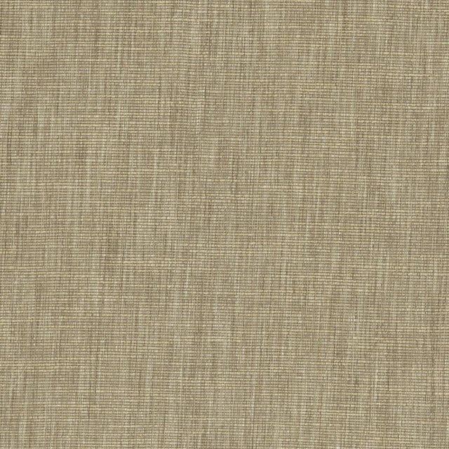 Kasmir Beltran Dove Tail Fabric