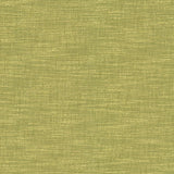 Kasmir Beltran Lima Fabric