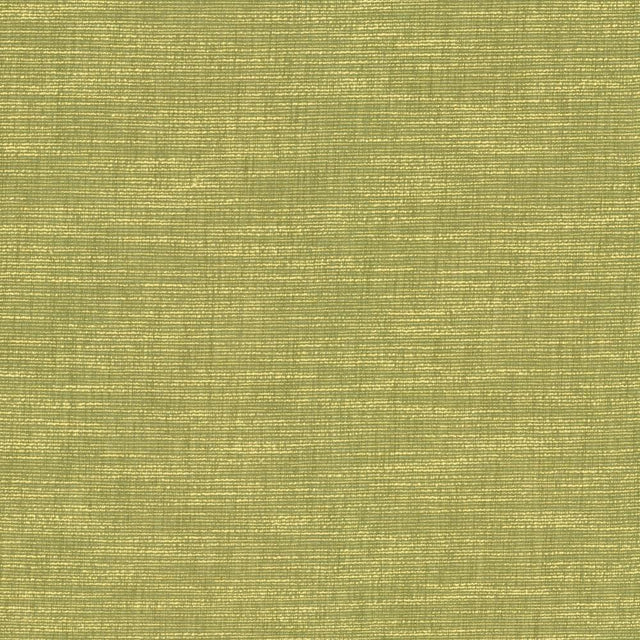 Kasmir Beltran Lima Fabric