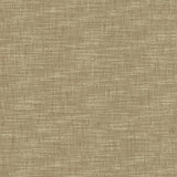 Kasmir Beltran Skimming Stone Fabric