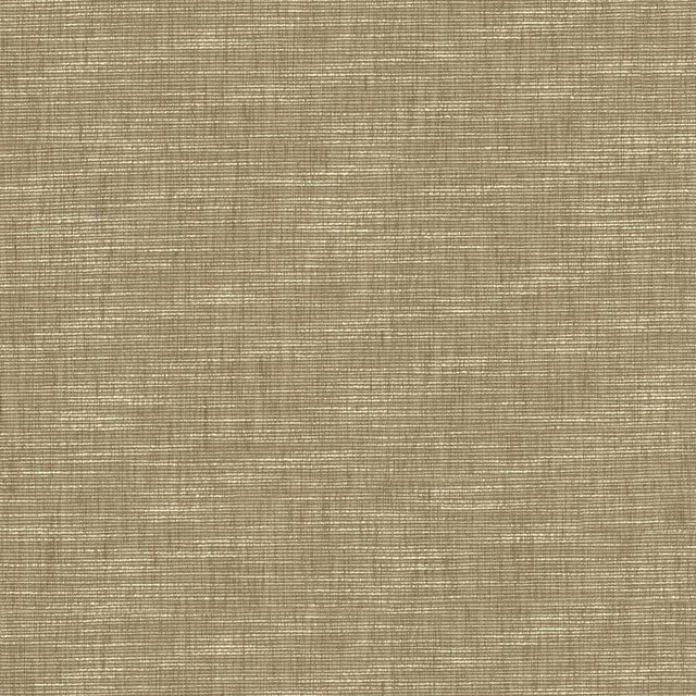 Kasmir Beltran Skimming Stone Fabric