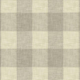 Kasmir Buffalo Moonstone Fabric