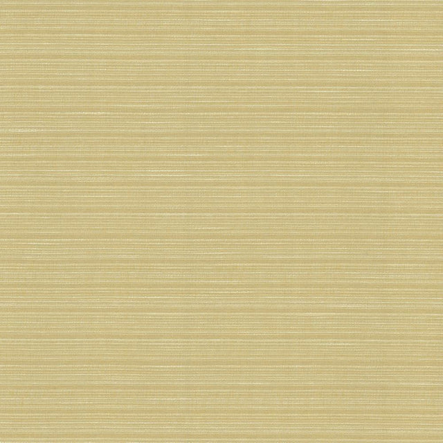 Kasmir Burke Beeswax Fabric