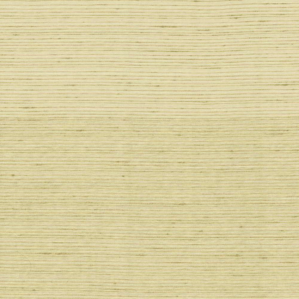 Kasmir Burke Cotton Fabric