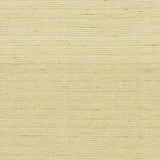 Kasmir Burke Cotton Fabric