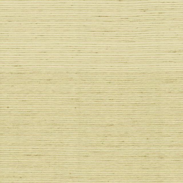 Kasmir Burke Cotton Fabric