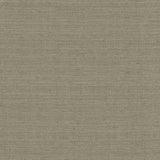 Kasmir Burke Fog Fabric