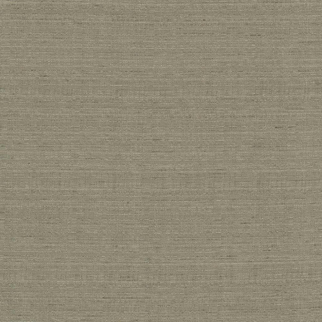 Kasmir Burke Fog Fabric