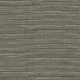 Kasmir Burke Graphite Fabric