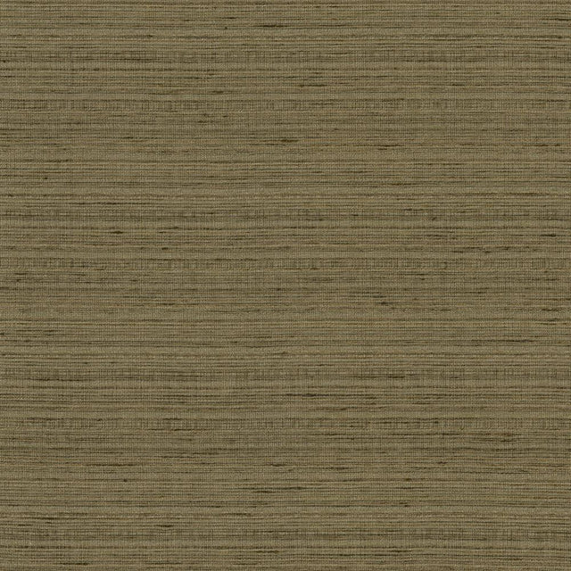 Kasmir Burke Mineral Fabric