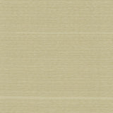 Kasmir Burke Sand Dollar Fabric